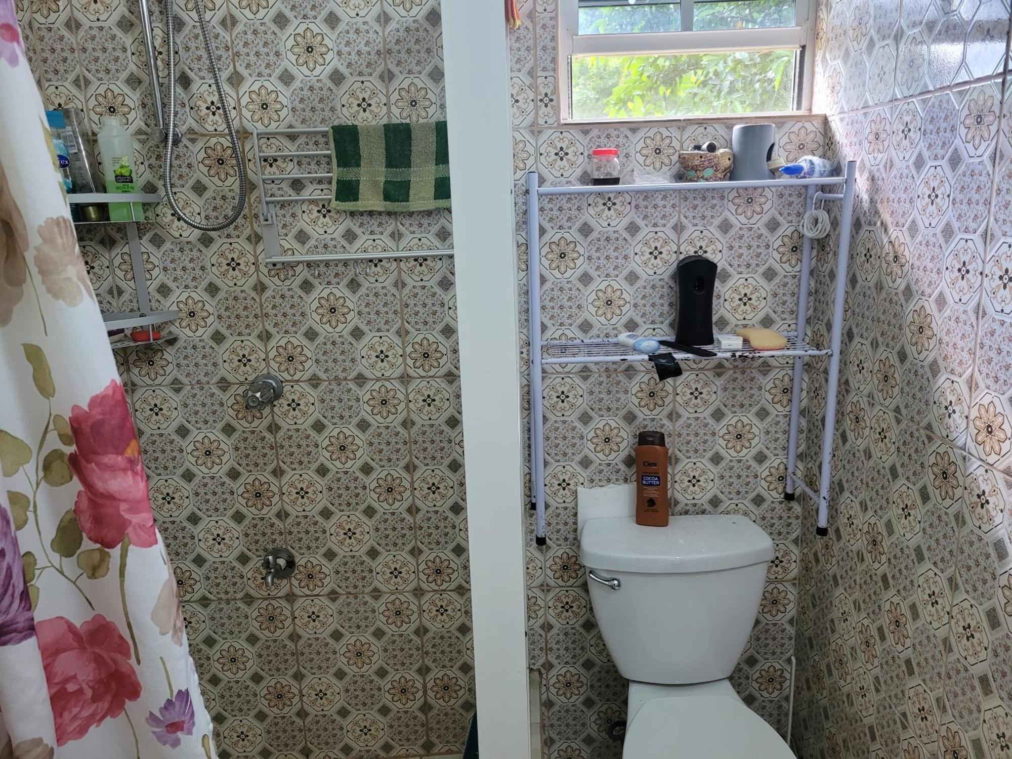 Tim'S & Mag'S Home Stay Roseau Bagian luar foto